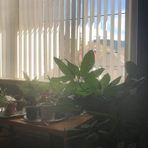 Meet your Posher, Kaitlyn